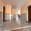 APPARTAMENTO RISTRUTTURATO APPARTAMENTO RISTRUTTURATO