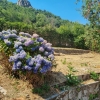 CASA INDIPENDENTE 4 LATI CASA INDIPENDENTE 4 LATI